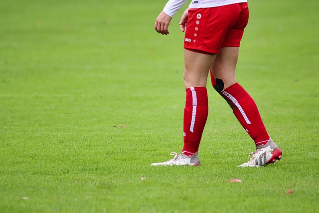 也可能导致 也可能导致