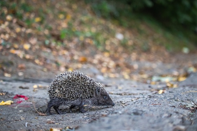 一直稳步提 一直稳步提