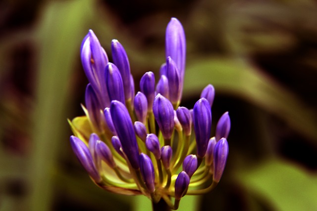 传统体育强 传统体育强