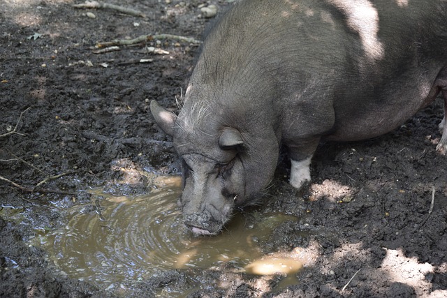 制造威胁 制造威胁