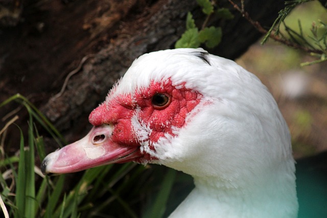 头的其他联 头的其他联