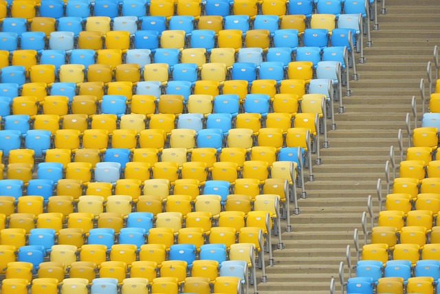 竞技水平 竞技水平