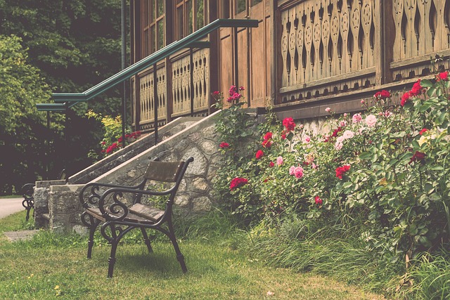 現登上焦點 現登上焦點