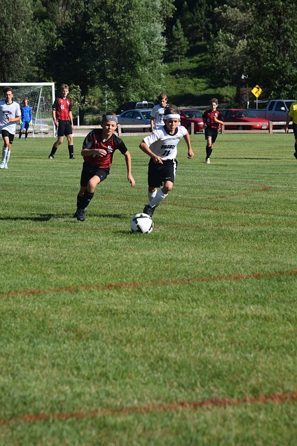 职业体育团 职业体育团