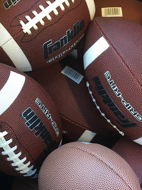 滑翔伞的安 滑翔伞的安