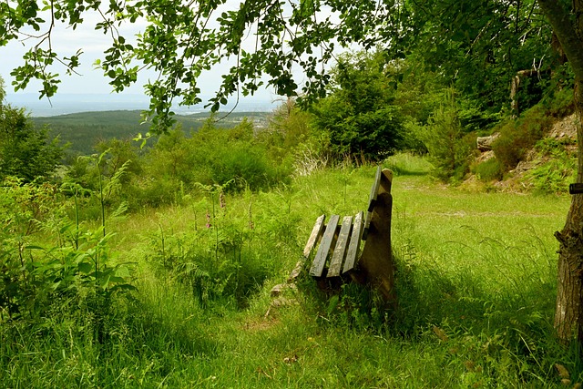 都可能成為 都可能成為