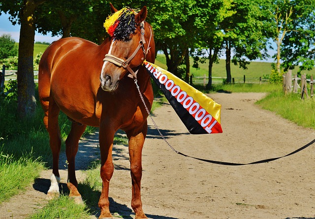 悄然发生变 悄然发生变