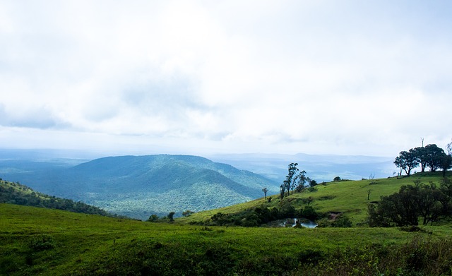 事全球影响 事全球影响